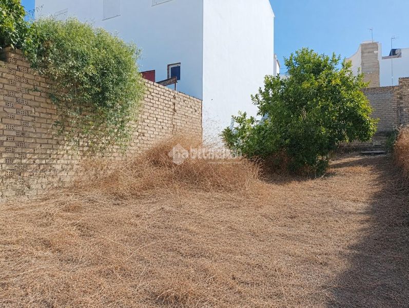 Foto 2c463248-dc72-4a34-886f-fd2e111beffd. Terreny residencial a Arahal