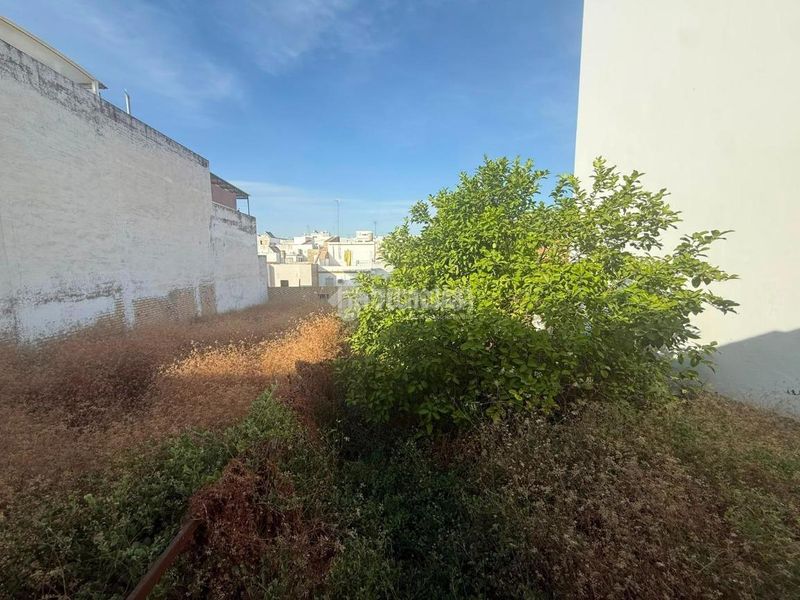 Foto 7b04ae17-f19d-4e37-9e68-ca43b7ec7bd4. Terreny residencial a Arahal