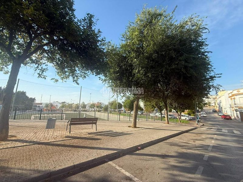 Foto db6bc19f-9728-4310-befa-6d7f06ab4fd5. Terreny residencial a Arahal