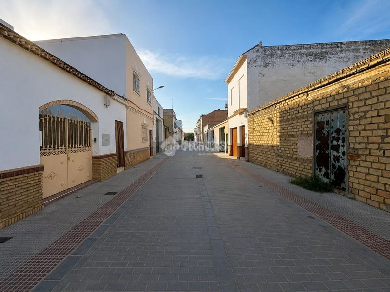 Foto effc9ac3-4d59-40b8-9d1a-e732d5e0a9cf. Terreny residencial a Arahal