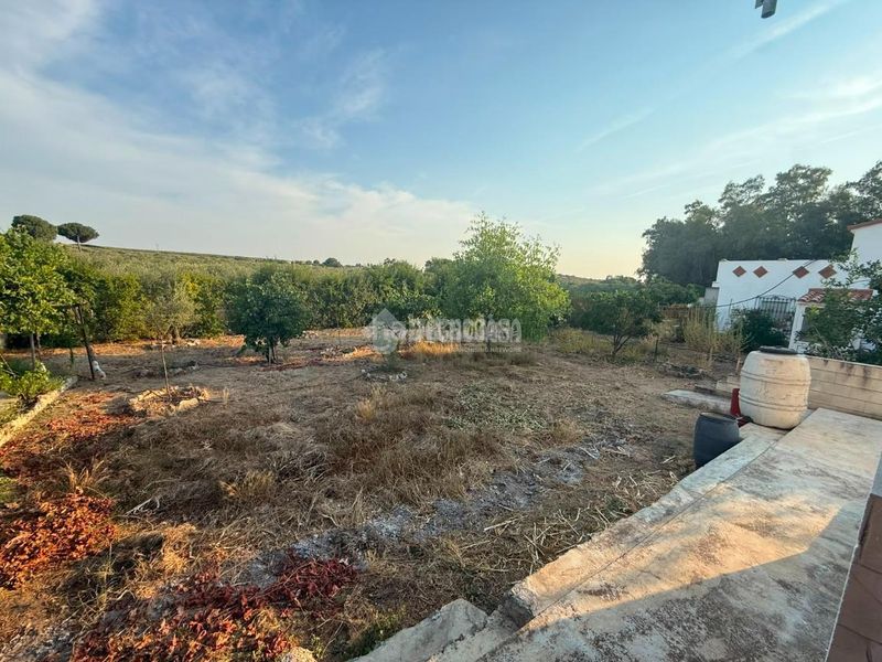 Foto a41d3bc8-ae5a-49c7-954c-0c4de249e4b7. Masia amb calefacció aparcament a Arahal