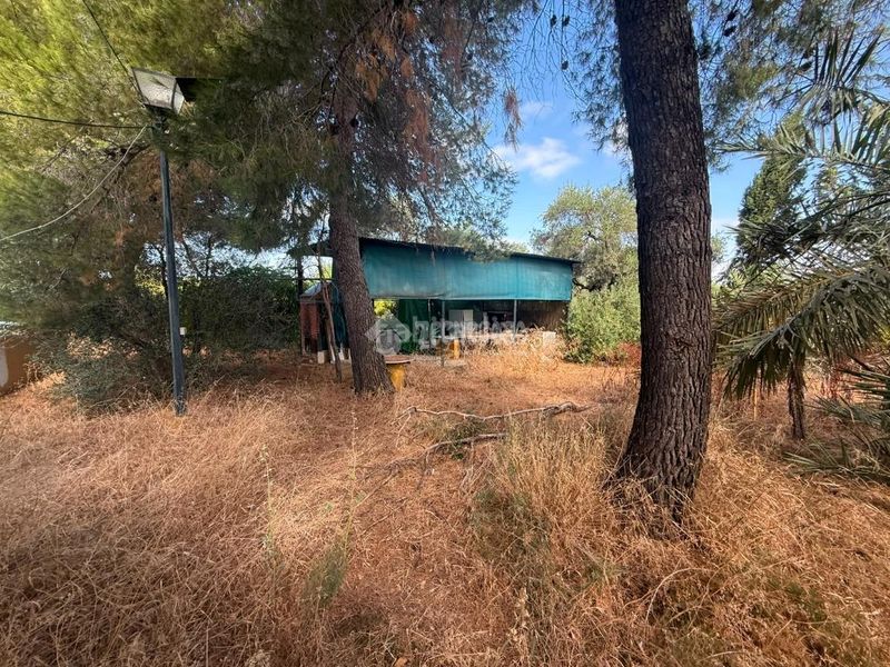 Foto 31115826-3188-4528-83e8-6e8c6b0523c2. Masia amb piscina a Arahal