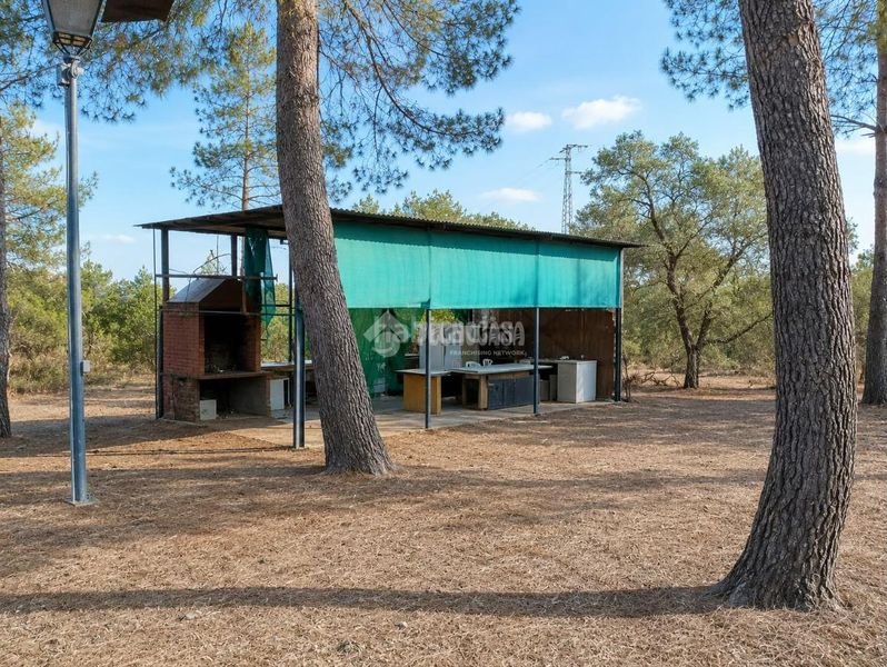 Foto 423f8a1e-a53b-4d36-bf89-5838e7ebe699. Masia amb piscina a Arahal