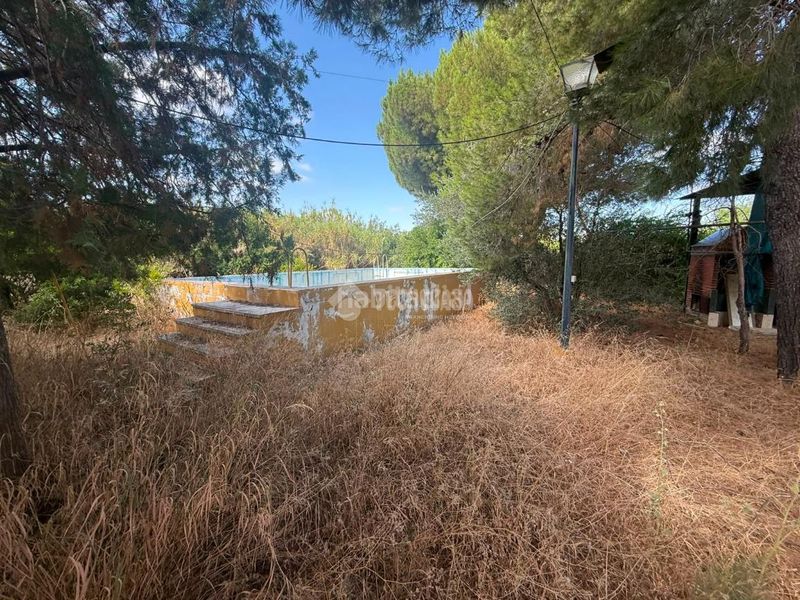 Foto 46c44211-fdc4-42e4-b6c6-4b890eb37a10. Masia amb piscina a Arahal