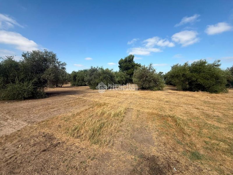 Foto 4915d2aa-56da-4b79-bfed-89ea709d0177. Masia amb piscina a Arahal