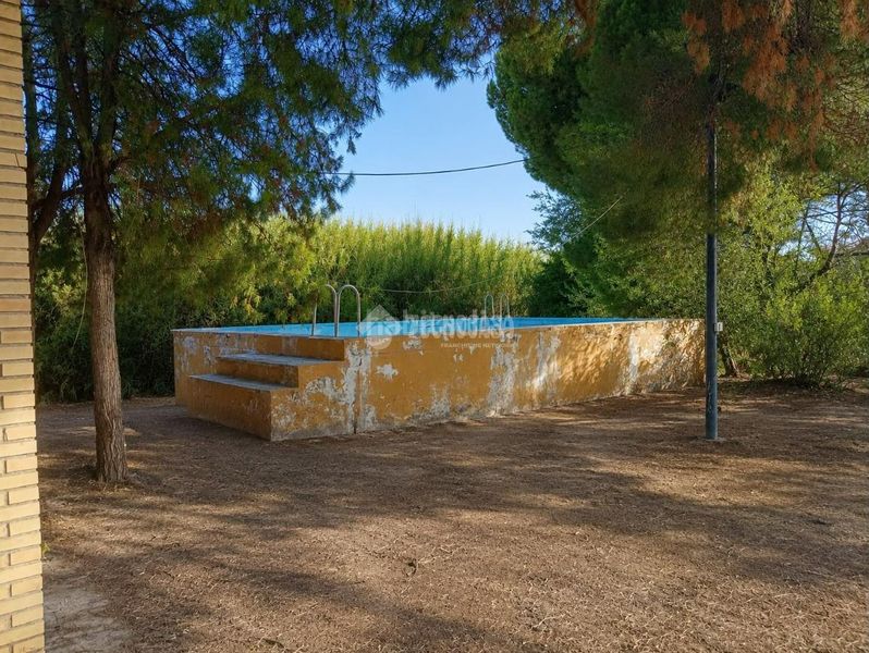 Foto cab2d3eb-a76c-40ae-b61d-c53fb34d40a6. Masia amb piscina a Arahal