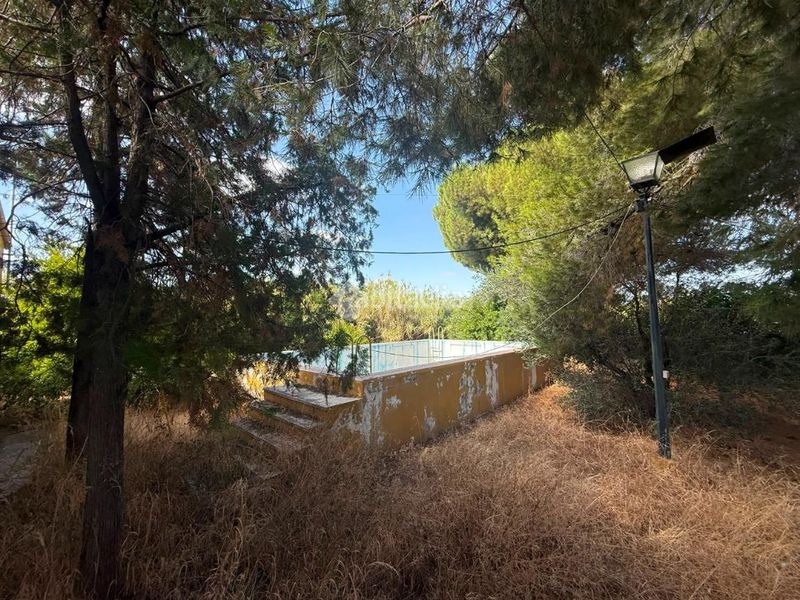 Foto e0177127-e30f-426b-95d8-8a079cd51b7f. Masia amb piscina a Arahal