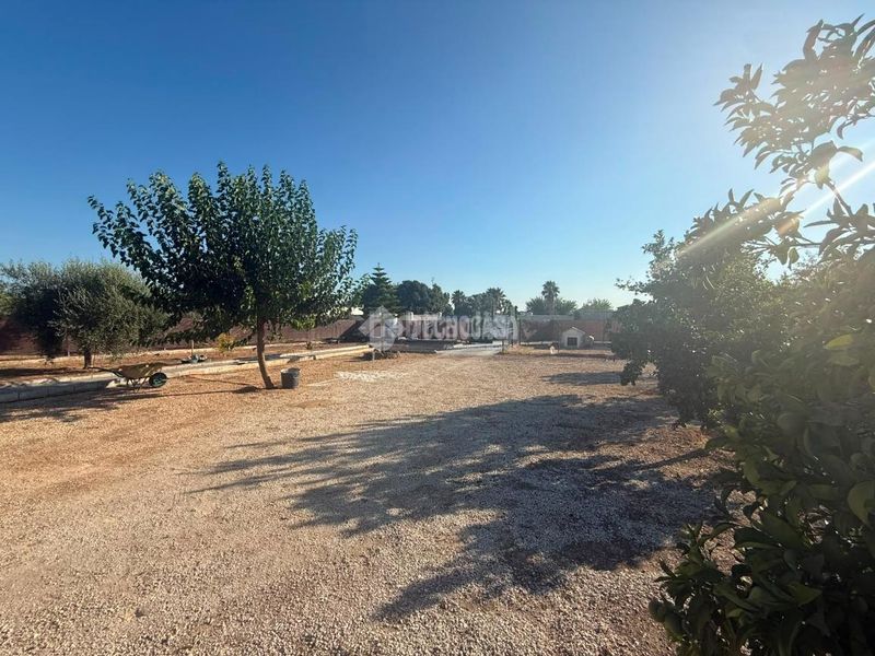 Foto 064fd0be-46a6-4d8b-8708-dae16cf0a24f. Masia a Arahal