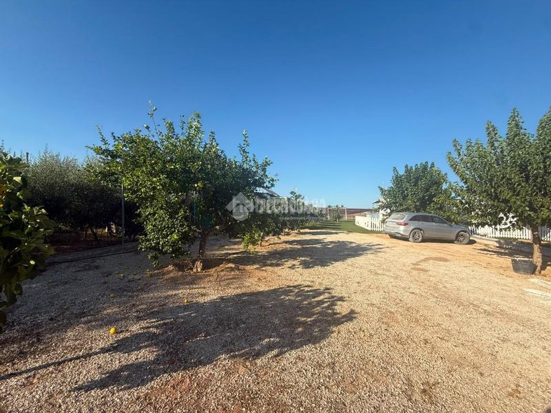Foto 7a43c499-3d59-4eac-9529-930a271bd5ea. Masia a Arahal