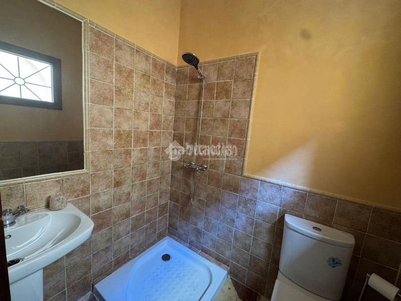Foto f4bb777a-85eb-4e1c-8201-9bda6fe71624. Pis a Osuna