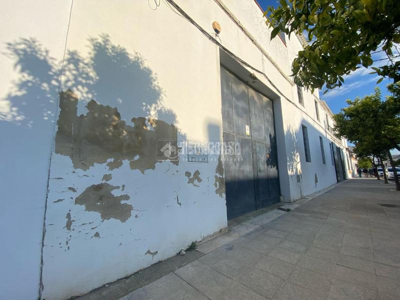Foto 6653d357-4053-42bd-baaf-e276fa19d02c. Area edificabile industriale in Osuna