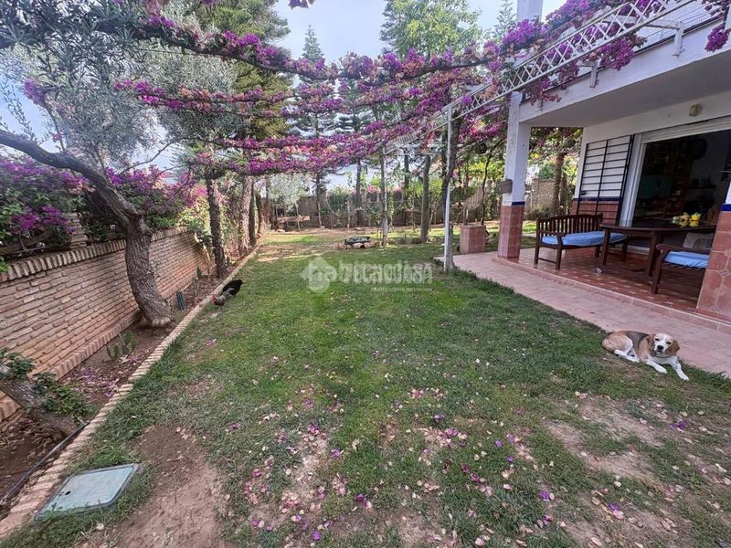 Foto 8d68c6b5-928c-4953-8c2c-ca3d51d5c2d0. Casa aparellada amb aparcament a Espartinas pueblo Espartinas