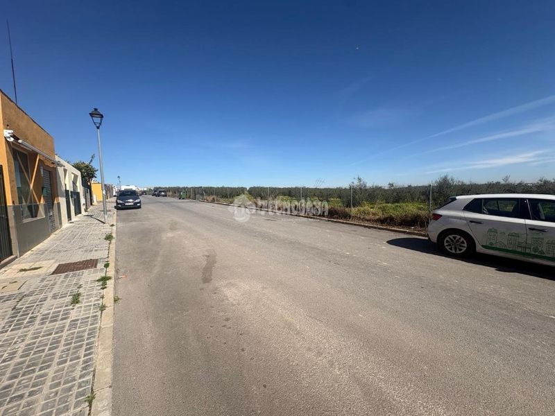 Foto 1a553224-5fc3-478b-b7fc-aca5b9380602. Casa a Olivares