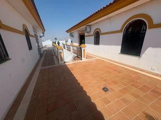 Pis a Umbrete. Piso en venta en umbrete
