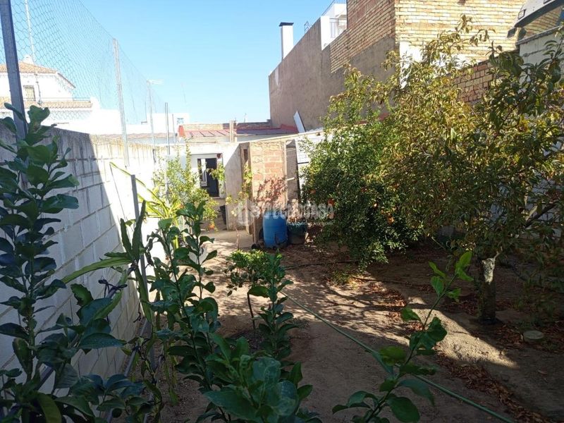 Foto ea23520a-5039-41d2-86ed-5e47c69d3eec. Casa aparellada a Sanlúcar la Mayor