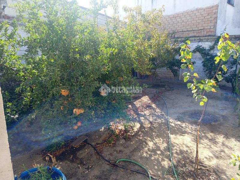 Foto facfabbe-8f03-43a7-aca5-560809c4a3fc. Casa aparellada a Sanlúcar la Mayor