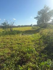 Finca rústica a Umbrete. Terrenos en venta en umbrete