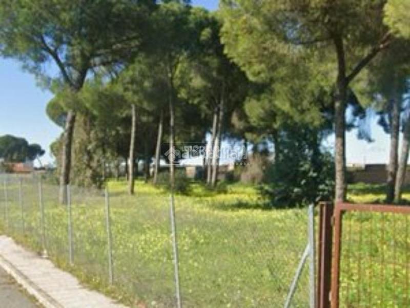 Foto 4af1a803-2798-4599-8404-f31f7f61122b. Terreno residencial terrenos en venta en Almensilla