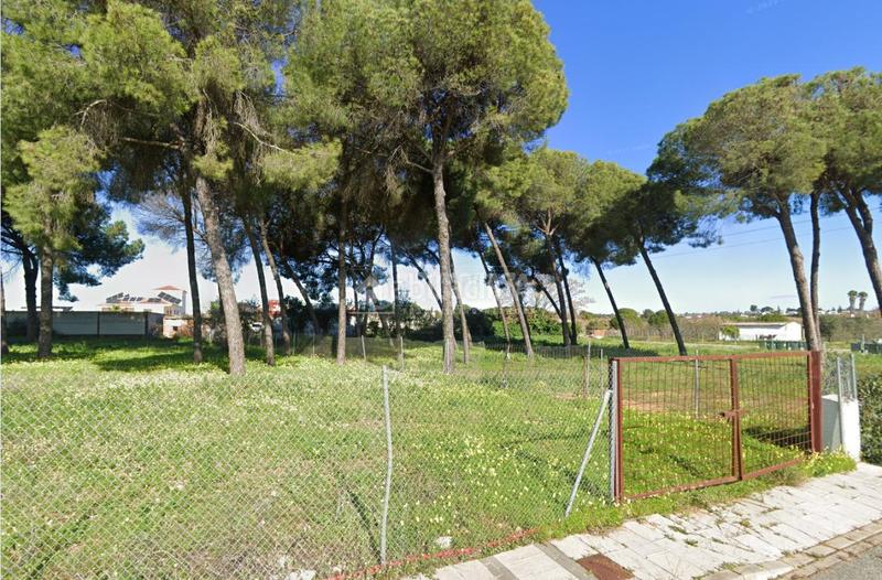 Foto 94188c90-1cf7-4b26-ab1d-1712d298ce7b. Terreno residencial terrenos en venta en Almensilla