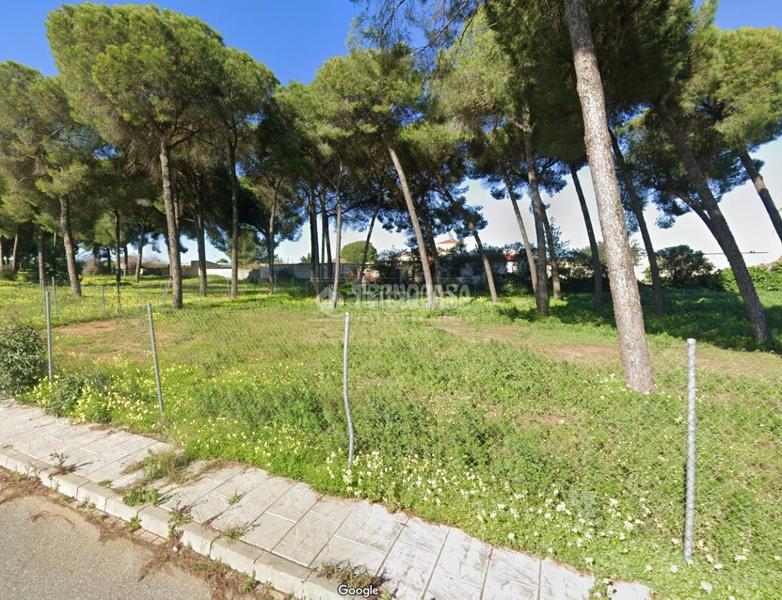 Foto d9029fd4-3129-466d-be7e-b0bebc862477. Terreno residencial terrenos en venta en Almensilla