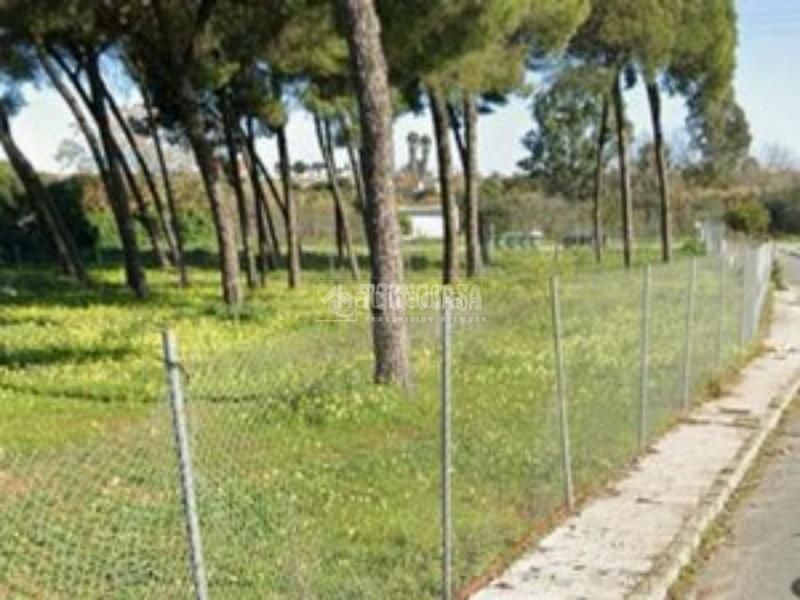 Foto da780aea-43f4-4f45-84fa-f80958f904a9. Terreno residencial terrenos en venta en Almensilla