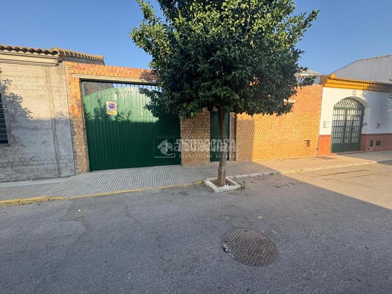 Foto 7a34c1db-2c66-47fa-946d-82d120d56b9e. Casa pareada casa en venta en Albaida del Aljarafe