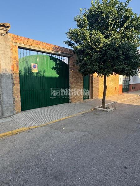 Foto c06098cb-ca8c-4494-a2bf-ebbd99131567. Casa pareada casa en venta en Albaida del Aljarafe