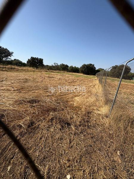 Foto 58a50572-f16c-4703-90e4-9faefc4a9630. Terreno residencial terrenos en venta en Sanlúcar la Mayor