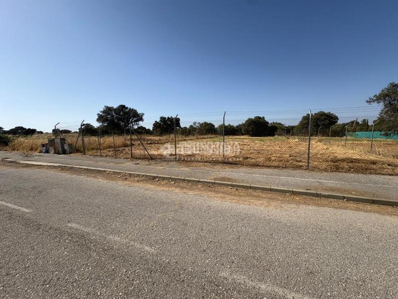 Foto 9a92ca5f-9923-47b8-a165-ab1da4d4a13d. Terreno residencial terrenos en venta en Sanlúcar la Mayor