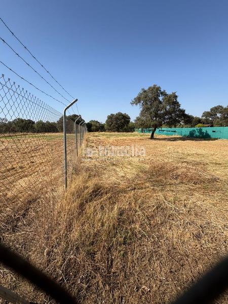 Foto d6e819e6-60c1-46c0-b223-91647535ba5e. Terreno residencial terrenos en venta en Sanlúcar la Mayor