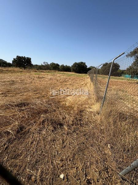 Foto de884bc5-4831-4721-80f2-dbacacdb0005. Terreno residencial terrenos en venta en Sanlúcar la Mayor