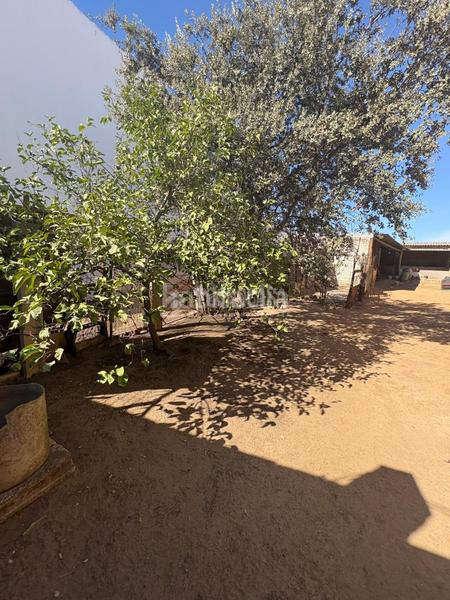 Foto 34fb8786-40de-4d60-85b4-bd6ab3cd93fa. Terreno residencial terrenos en venta en Benacazón