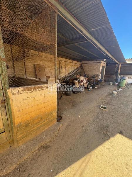 Foto 7754f99a-bbc9-4fff-9b3c-51fe717f98fb. Terreno residencial terrenos en venta en Benacazón