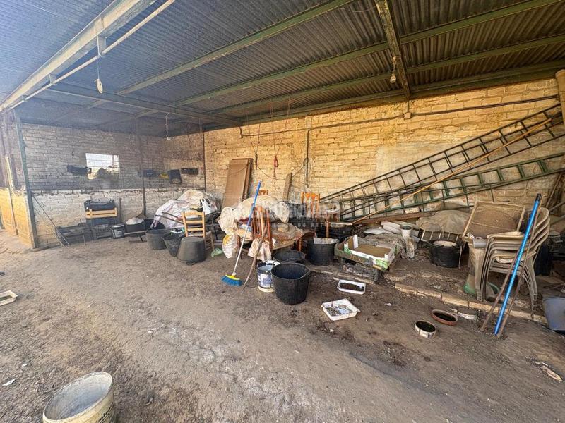 Foto bd1ff45f-cb0c-4ddf-b2f9-7c85da78257d. Terreno residencial terrenos en venta en Benacazón