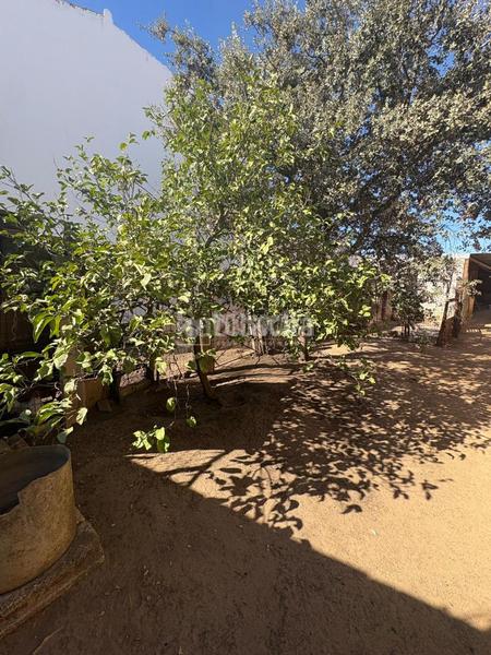 Foto dc6a5efd-0ae3-4680-9396-10e3e41b8ea0. Terreno residencial terrenos en venta en Benacazón