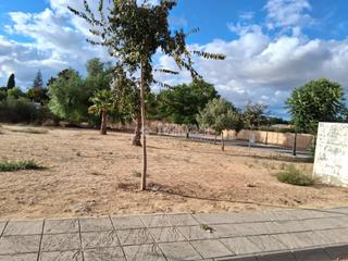 Terreno residencial  C. jacaranda. Terrenos en venta en sanlúcar la mayor