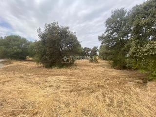 Terreno residencial  C. cigueña. Terrenos en venta en sanlúcar la mayor