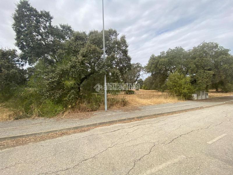 Foto 9237959e-b77e-4978-be32-8e0195e9a64b. Terreno residencial terrenos en venta en Sanlúcar la Mayor