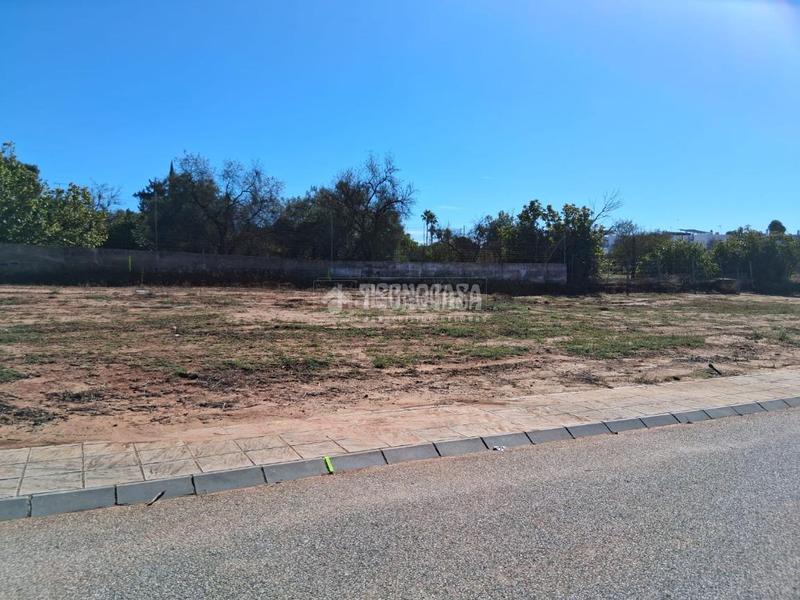 Foto 078ba1e7-0e70-44c7-ad0e-161996e7128c. Terreno residencial terrenos en venta en Sanlúcar la Mayor