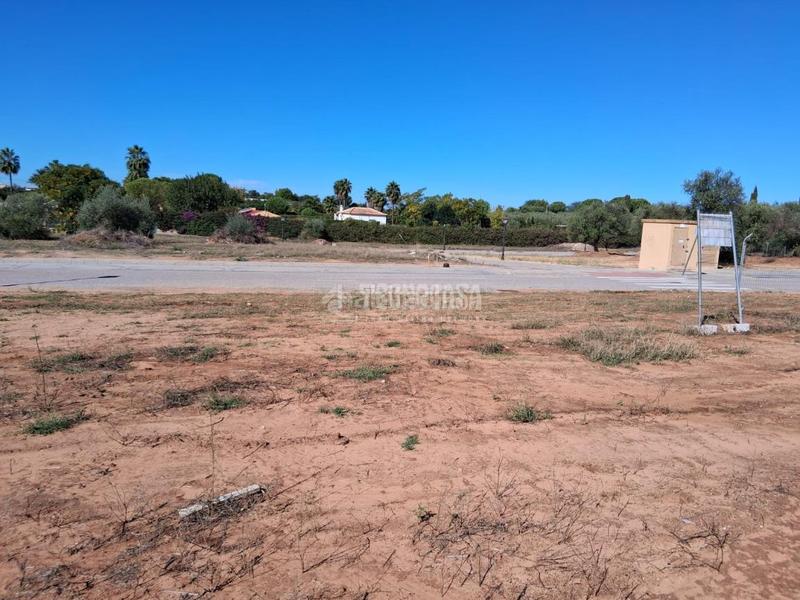Foto 30e0fc3e-a73e-4e40-8279-0753ec5c5b51. Terreno residencial terrenos en venta en Sanlúcar la Mayor