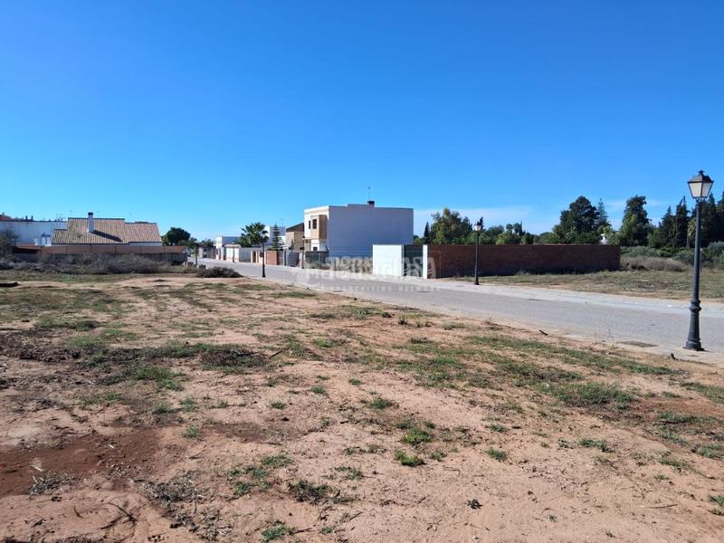 Foto 47b5e3c9-970c-428a-b126-96dc6373354f. Terreno residencial terrenos en venta en Sanlúcar la Mayor