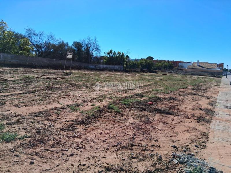 Foto 8b8060d5-8b73-4c85-b3ca-bf8e03bcf076. Terreno residencial terrenos en venta en Sanlúcar la Mayor