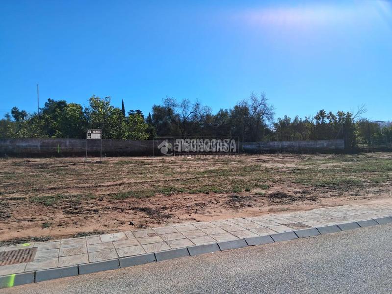 Foto 8f0c37d6-f61d-49e9-a428-8f4590ac2935. Terreno residencial terrenos en venta en Sanlúcar la Mayor