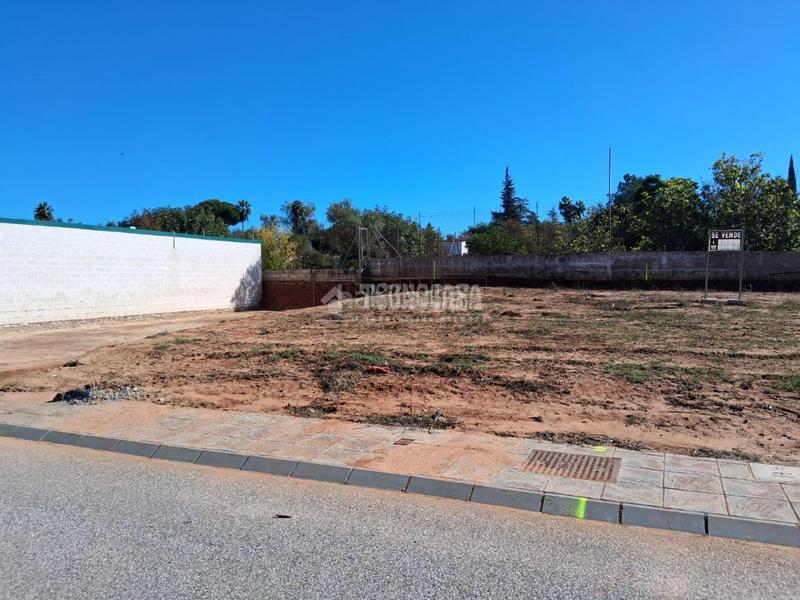Foto 957a025f-5abb-4a61-be18-ad8b6fb2e66d. Terreno residencial terrenos en venta en Sanlúcar la Mayor