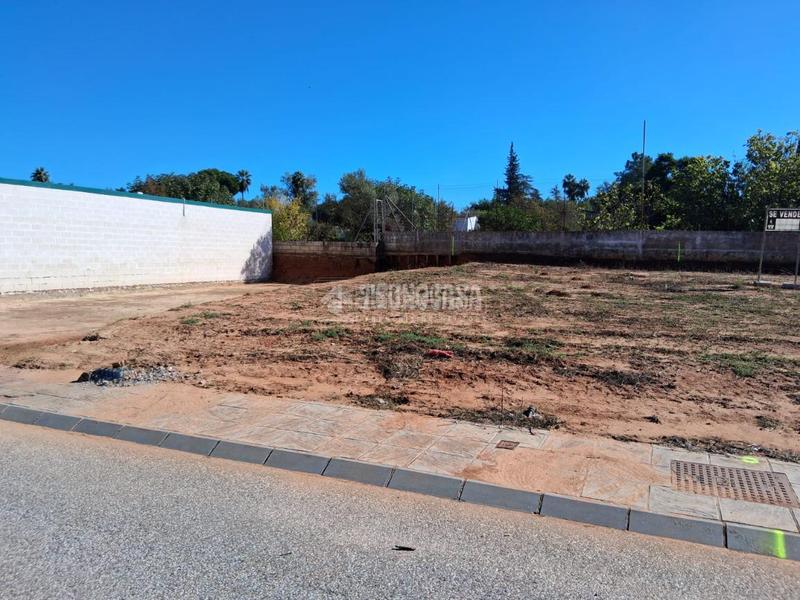 Foto a2a20514-37d0-49a3-8bf6-03bdfacf50a2. Terreno residencial terrenos en venta en Sanlúcar la Mayor