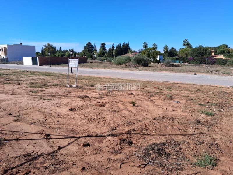 Foto b3eddb79-c02d-48cb-91e1-436499daa54a. Terreno residencial terrenos en venta en Sanlúcar la Mayor