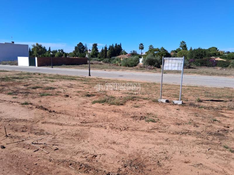 Foto dddba568-2316-4d5d-9280-5e5b48487922. Terreno residencial terrenos en venta en Sanlúcar la Mayor