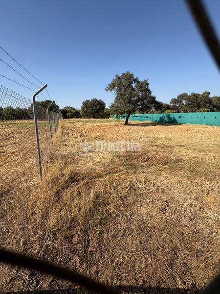 Foto f647adeb-8d0d-4096-b3be-91f3486a765b. Casa  en venta en Sanlúcar la Mayor