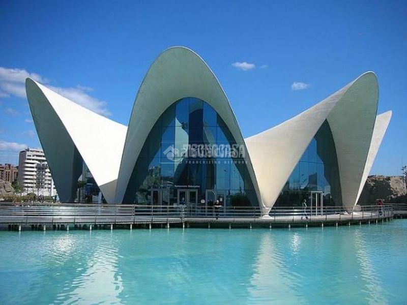 Foto f7ef8436-0ffe-4184-ac7b-223fa2e8ed8b. Pis a Aiora Valencia