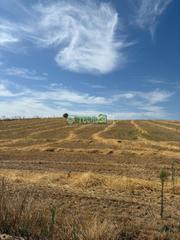 Finca rústica a Cedillo del Condado. Terrenos en venta en cedillo del condado
